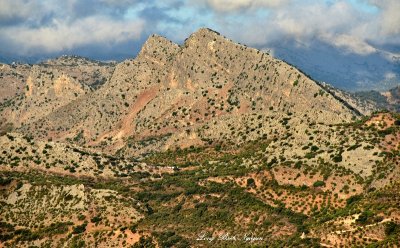 Mountain around Ronda  