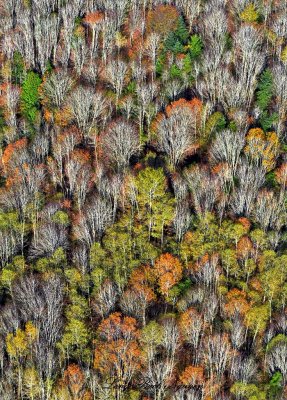 Last of Fall Colors Monroe Wahsington