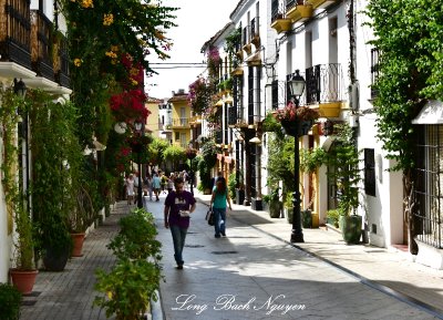 Homes and Plants on Calle Ancha, Marbella, Spain