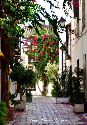 Bougainvillea Street, Marbella, Spain