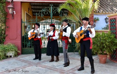Cortijo de Cortes musician