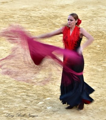 Flamenco Dancer