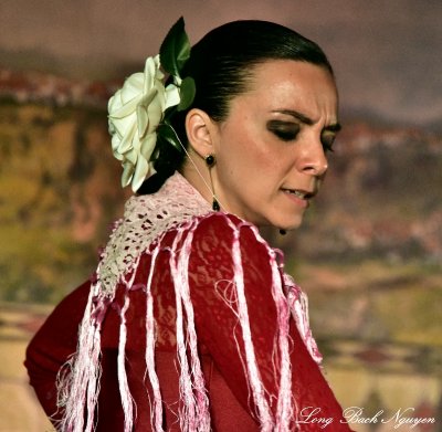 Flamenco Dancer 829