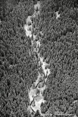 Goat Creek, Goat Mountain, Cascade Mountains WA 122 