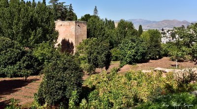 Tower at the lower garden, The Alhambra, Granada 129  