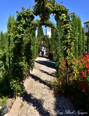 Garden in Generalife, Alhambra Granada 203 