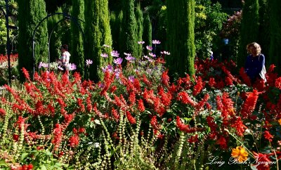Garden in Generalife, Alhambra, Granada 204  