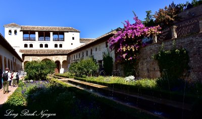 The Generalife Palace Garden, Alhambra, Granada 251  