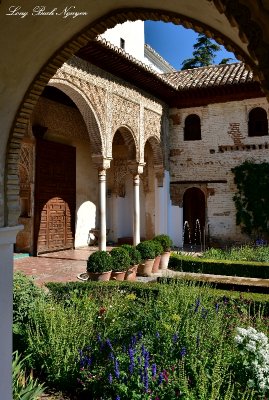 The Generalife Palace Garden Alhambra Granada 313 