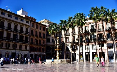 Plaza de la Constitution, Malaga 322a  