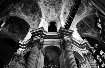 Ceiling of Malaga Cathedral 179bw  