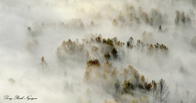 Pastel Fall Colors Around Snoqualmie River Valley Washington 243  