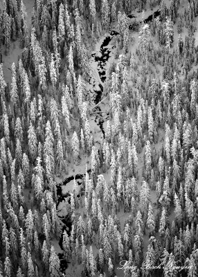 White Salmon Creek, Mount Shuksan, North Cascades Mountain, Washington 345 