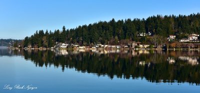 Reflection on Lake Sammamish Washington 049 