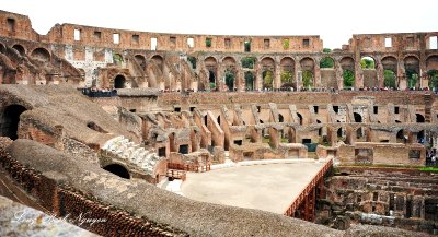 Colosseum Rome Italy 221 