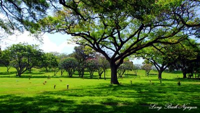 National Memorial Cemetery of the Pacific, Punchbowl Crater, Honolulu Hawaii 023  