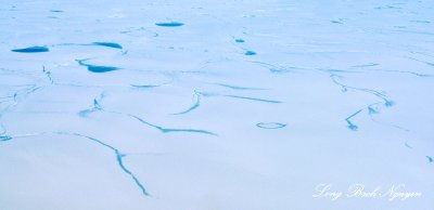 Blue Lakes on Greenland Glacier 171  