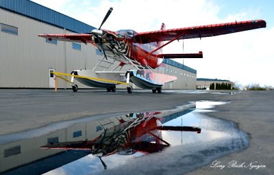 Quest Kodiak N31JA Paine Field Washington 172 