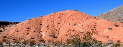 Rock Formation Valley of Fire State Park Nevada 282  