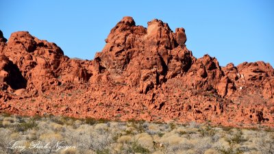 Valley of Fire State Park Overton Nevada  377  