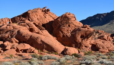 Valley of Fire State Park Overton Nevada 437  