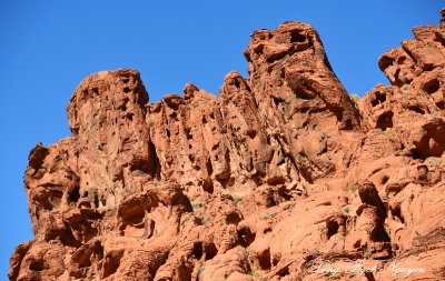 Rock Formation Valley of Fire State Park Nevada 464