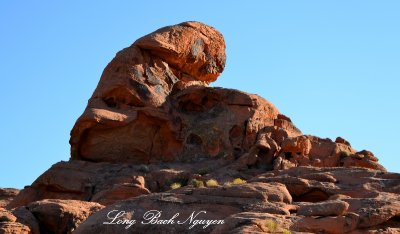 Piano Man in Valley of Fire State Park Nevada 528  