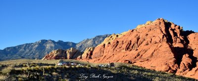 Calico Hills, Calico Basin, Red Rock Canyon, Las Vegas Nevada 279  