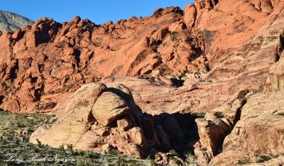 Visitors at Calico Hills Formation, Red Rock Canyon, Las Vegas Nevada 239  