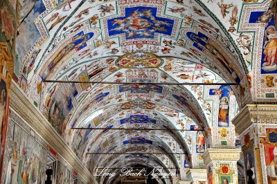 Vatican Museum Library Ceiling Rome Italy 094 