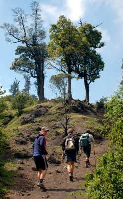 Hiking up Pacaya Volocano Guatemala 035  