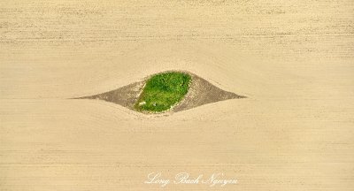 Eye in Field Skagit Valley Mount Vernon Washington 506 