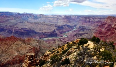 Grand Canyon National Park Colorado River from Desert View Watchtower Arizona 422 