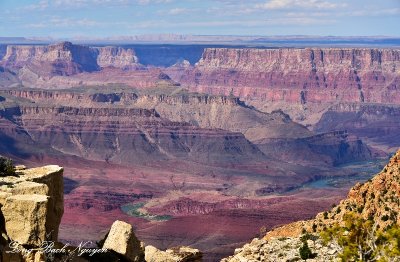 Grand Canyon National Park Colorado River from Moran Point, Arizona 459  