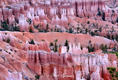 Warm Morning at Bryce Canyon National Park Utah 102 