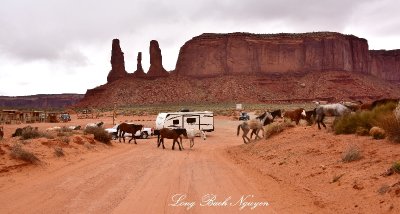 Horses at Three Sisters Monument Valley Navajo Tribal Park Arizona 920  