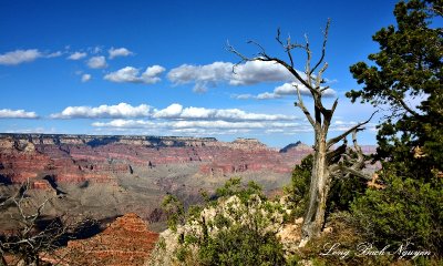 Grand Canyon National Park from Mather Point at Visitor Center Arizona 545  