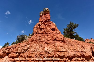 Red Canyon Utah 392