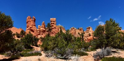 Red Canyon Utah 420 