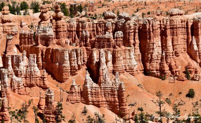 Bryce Canyon National Park Utah 502  