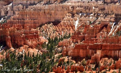 Bryce Canyon National Park Utah 546 