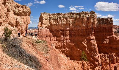 Bryce Canyon National Park Utah 573  