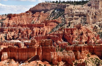 Bryce Canyon National Park Utah 611  