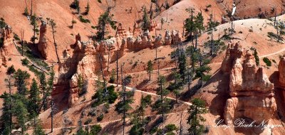 Trail at Bryce Canyon National Park Utah 657  