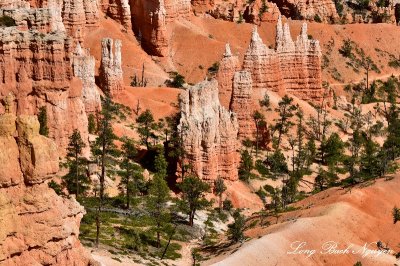 Bryce Canyon National Park Utah 675 