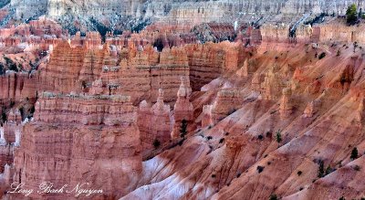 Evening at Bryce Canyon National Park Utah 864  