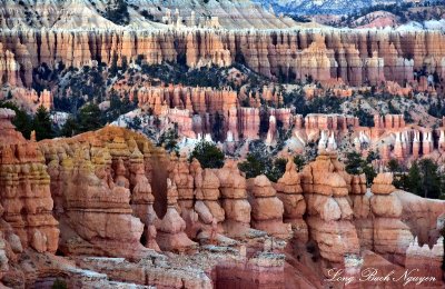 Evening at Bryce Canyon National Park Utah 925 