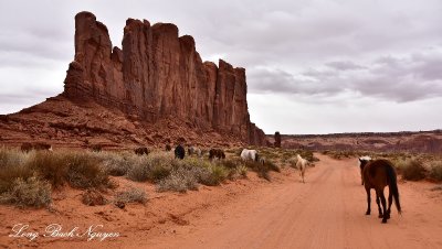 Horses at Elephant Butte Monument Valley Navajo Tribal Park Arizona 949 