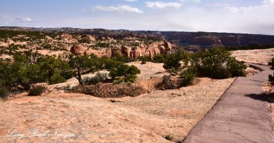 Path to Overlook at Navajo National Monument Arizona 240  