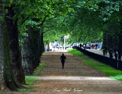 Jogging in Green Park London 325